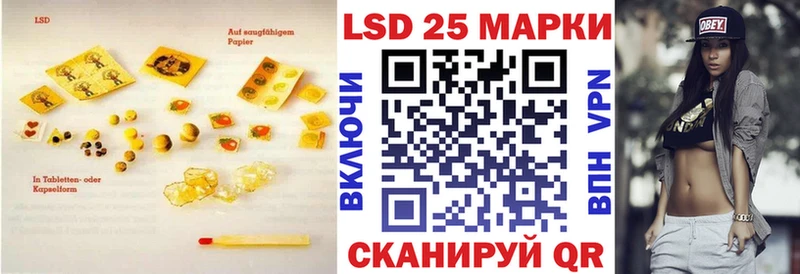 ЛСД экстази ecstasy  Шенкурск 