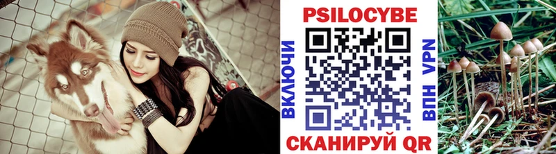 Галлюциногенные грибы GOLDEN TEACHER  купить   Шенкурск 